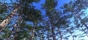 Новость дня